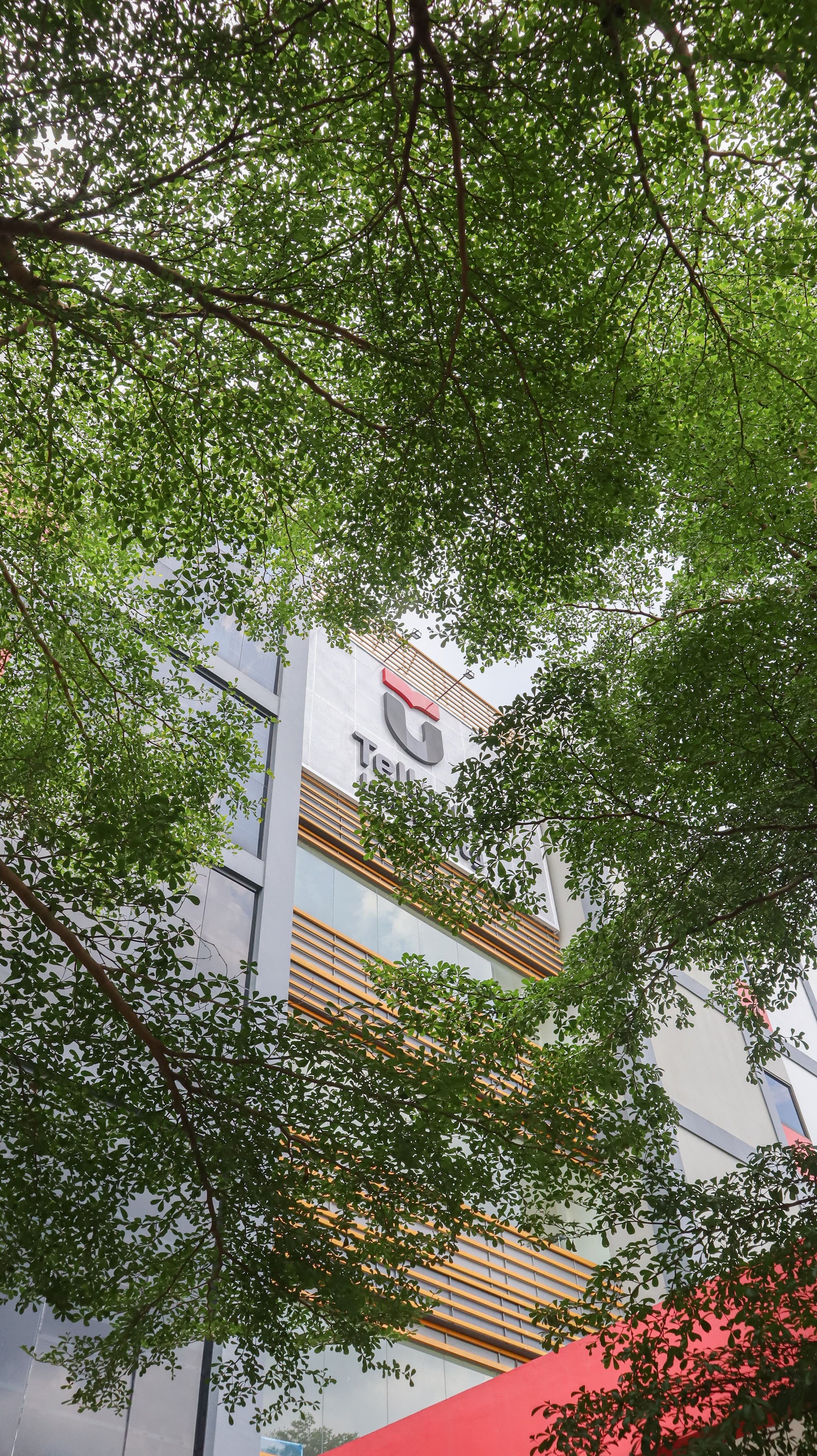 Gedung Kampus di Balik Rimbunnya Pohon